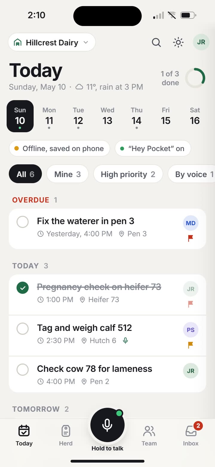 The Today screen of the Pocket AI redesign concept